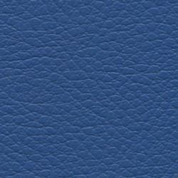 blue-2343.jpg